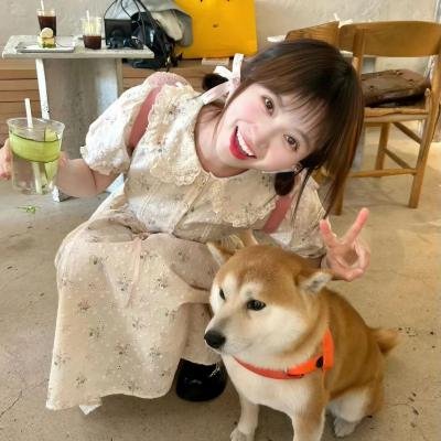 你的甜品我的爱